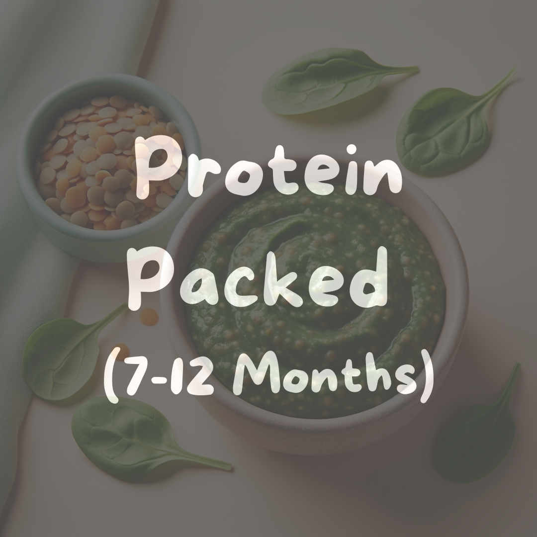 protien packed food for babies 7 to 12 months old