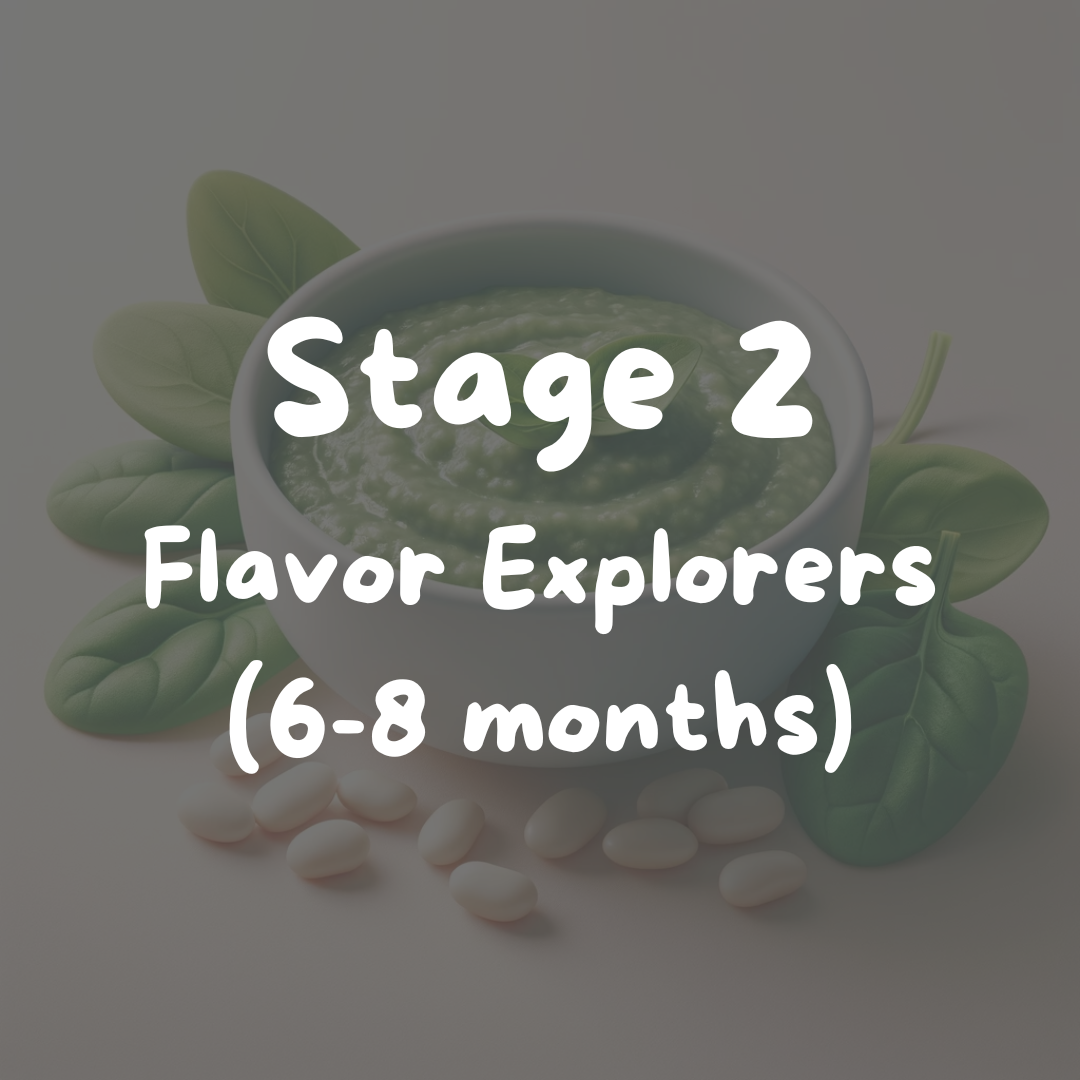 stage 2, flavor explorers (6-8 months)